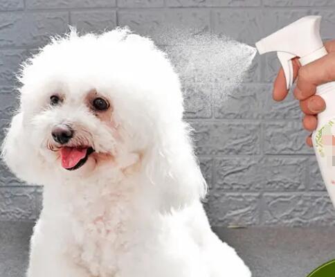 進口寵物用品報關流程步驟如何?(寵物用品進口清關流程)